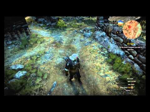 Witcher 3 Sword Style Deithwen