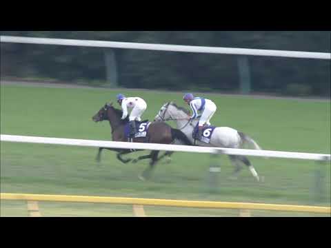 2018 Japan Cup (G1) | JRA Official