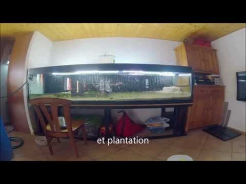 comment nettoyer plante d'aquarium