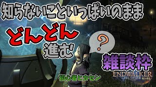 [FF14]　初心者ヒカセンが色々わからないままどんどん進んでいく雑談配信　＃２[初心者]