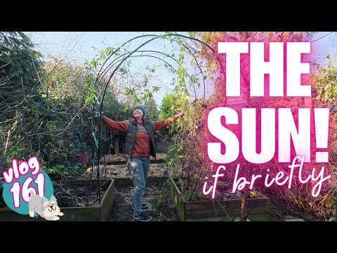 Ep161: Simple February Garden Jobs & Seed Sowing