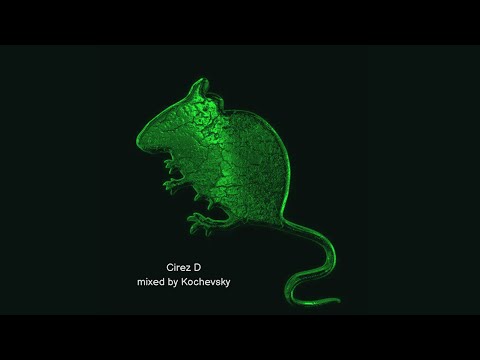 Kochevsky - Mark 034 (Best of Cirez D 2023)