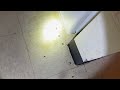 Apartment Treated for Cockroaches in Neptune, NJ
