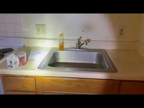 Apartment Treated for Cockroaches in Neptune, NJ