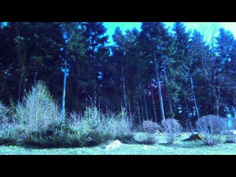 Slavko Zupančič - Little Sister