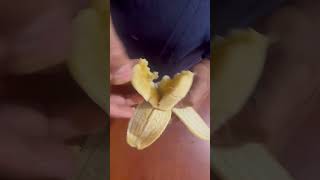 Download lagu How to open banana right way?#shorts mp3