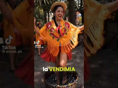 VENDIMIA CHAPACA TARIJA BOLIVIA 2026 #musica #humor #TarijaEstaDeModa#JaponesRoquero#rock
