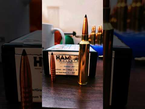 Deer Hunting With Nosler Whitetail Country Ammo