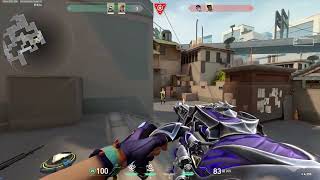 Spotlight Clip