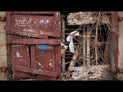 Fulgor en la cochambre. Saxos