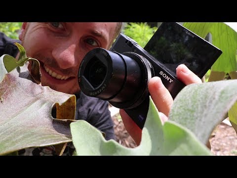 I hated the Sony RX 100 V until I changed this setting ... Now it's the perfect vlogging camera