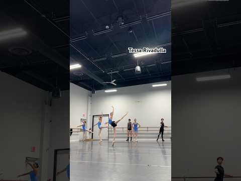 Guess the variation pt.2 🤩🤩 #ballerina #dance #ballet #balletclass #dancer #ballerinalife