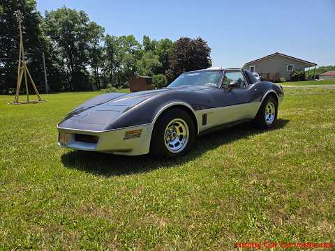 1981 Charcoal Corvette Silver Int T Top Video