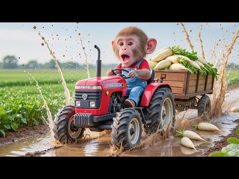 🐒🚜🥕 Monkey NaNa the Tractor and the Unexpected Adventure of White Radish! 😱💦 – NANA MONKEY LIFE