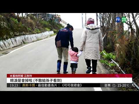 多帶1個孫! 水蜜桃阿嬤顧10人