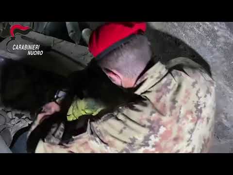 Carabinieri Compagnia di Lanusei. Scoperto bunker ad Arzana 09 10 21