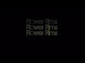 The Curiosity Company Flower Films 20th Century Animation 2023 Concept
