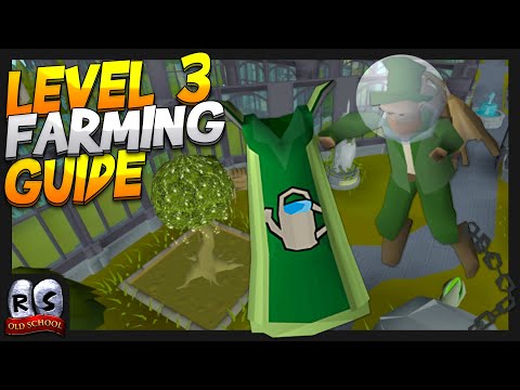99 Farming Guide/Run for Level 3 Skillers & Lower Levels (~215k Exp/Run) | OSRS Guide 2022