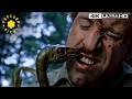 Baby Dinos Attack The Camp Full Scene The Lost World Jurassic Park 4k Hdr