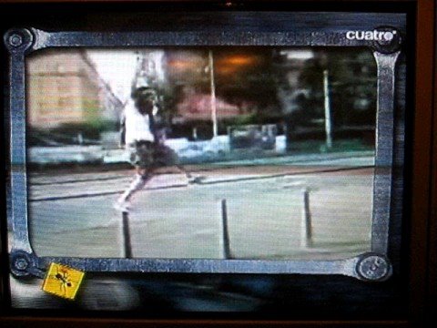 dolor en el hormigero