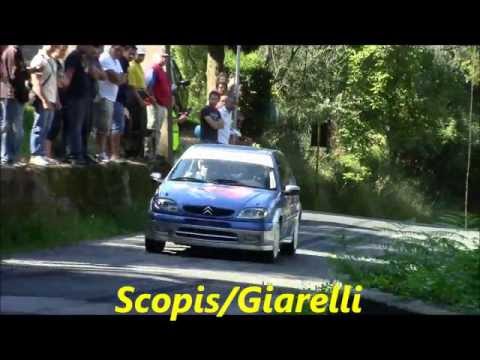 Rally C.tà di Camaiore 2013 P.S.1 N-2 (14/20)
