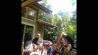 Gone Gone Gone by Tracy Bonham