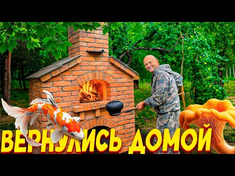 Что нас ждало на двух хуторах после долгого отъезда? ТЕСТ-ДРАЙФ УЛИЧНОЙ ПЕЧИ. Где огород лучше?