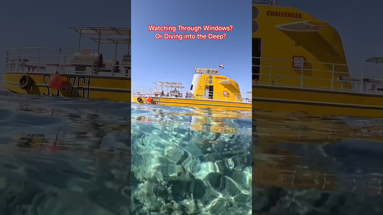 ✨🤿​TitleWatching Through Windows? Or Diving into the Deep?🌊#asmr #bluepulse #sharmelsheikh