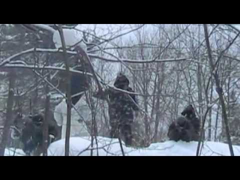 BBC - Generation Jihad - Ep2 - (Part 4 of 6)