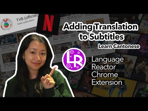 Language Reactor Chrome Extension Tutorial