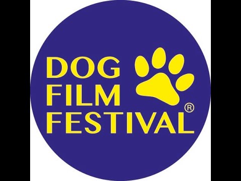 Dog Film Festival: il trailer ufficiale