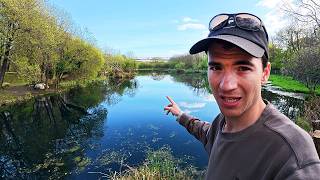 50lb Carp In A Small Pond! Can I Catch It