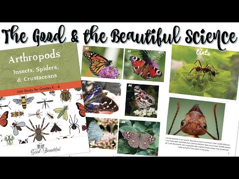 The Good and the Beautiful Science Curriculum | Unit Walk-Thru, Set-Up and Organization! Video