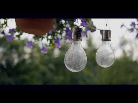 Pensiunea Colt de Rai