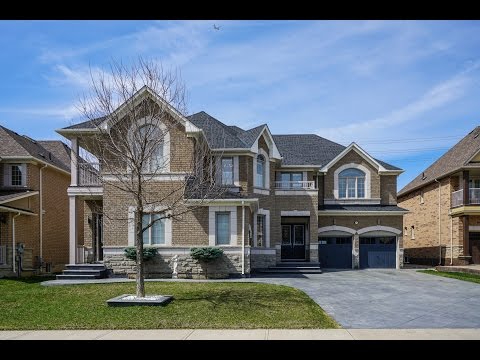 26 Janetville Street Brampton, Beauty Oziegbe
