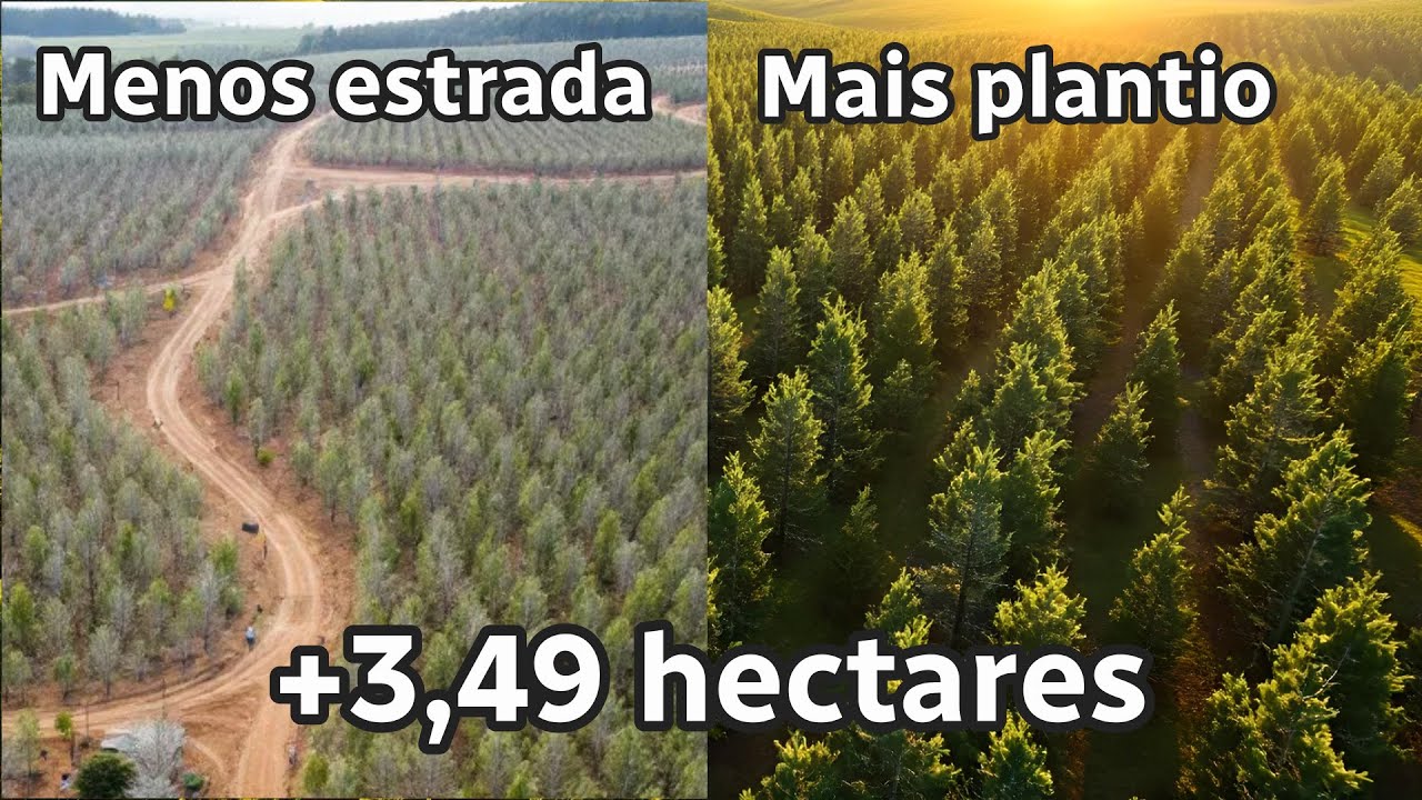 Conhecendo o ForestOptimizer