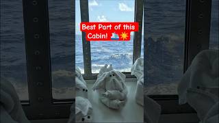 The BEST Part of Carnival Jubilee Cabin #4293! 🪟✨