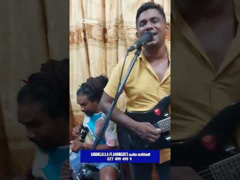 Sihina Male Nurawe | Deepal Priyantha | Ahungalla Flamingoes