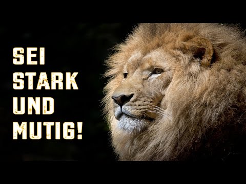 Sei stark und mutig! (5Mo 29,9-31,30 – Torah für Kids)