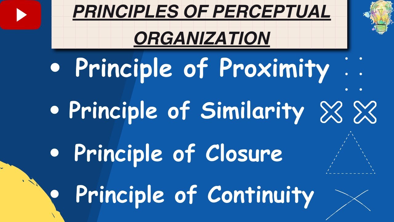 Perceptual organisation | Principles of Perceptual organisation | Class 11 Psychology Chapter 5 | ob