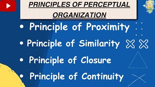 Perceptual organisation | Principles of Perceptual organisation | Class 11 Psychology Chapter 5 | ob
