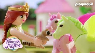 Playmobil | Princess Magic | Short Film | The Lost Raccoon Baby| Kids Film
