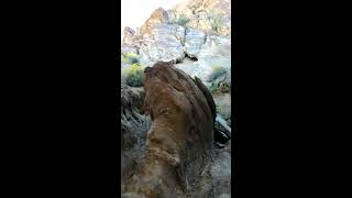 Indian Canyon 10