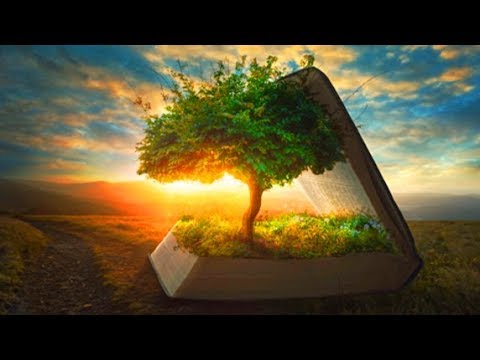 download lagu mp3 mp4 28 Day Meditation Challenge, download lagu 28 Day Meditation Challenge gratis, unduh video klip 28 Day Meditation Challenge