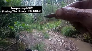 Prospecting for a New honey hole! || Mogo State Forest NSW Australia