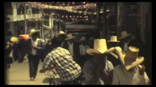 Ween - Buenos Tardes Amigo