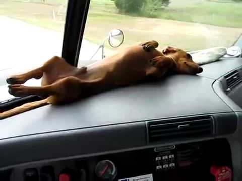 Nice spot for sleep