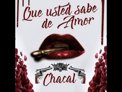 Chacal - Que Usted Sabe De Amor [Official Video]