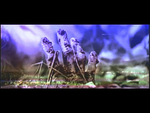 Tragik Prod. tjkatana *Visualizer*