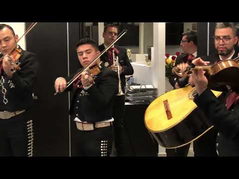 Vals Alejandra por el Mariachi Mexico